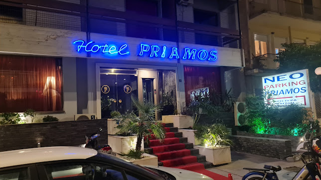 Priamos Hotel Pagrati - hotel in Greece, photo 1